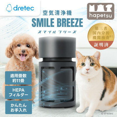 【ふるさと納税】ドリテック 空気清浄機「スマイルブリーズ」 AC-100DG【1716811】