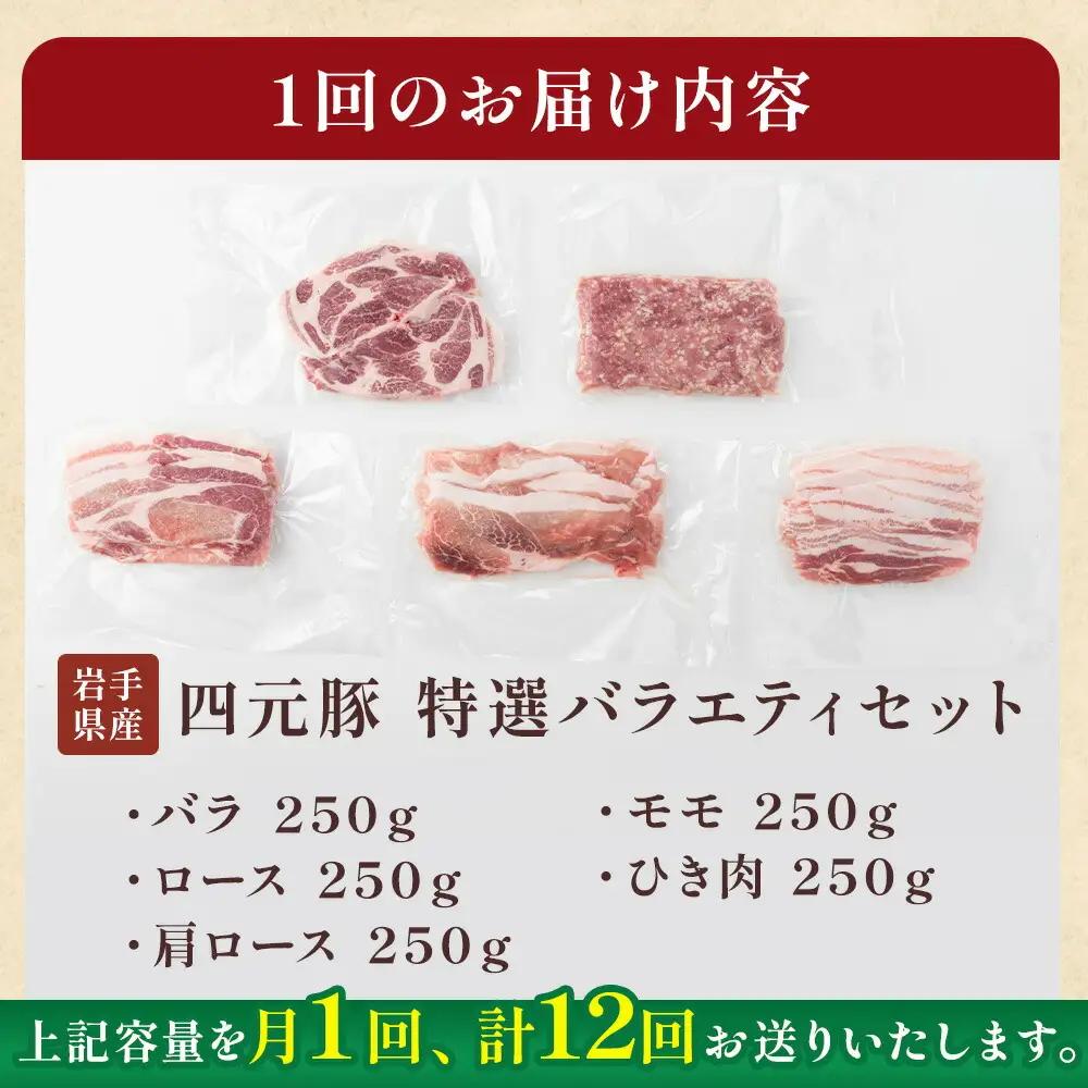 12ヶ月定期便 四元豚 おまかせカット肉 ＆ ひき肉 セット 約1.25kg  焼肉 ギフト 精肉 バラエティセット 豚肉 ロース バラ 肩ロース モモ ひき肉 セット 冷凍 お歳暮 おせち GIFT