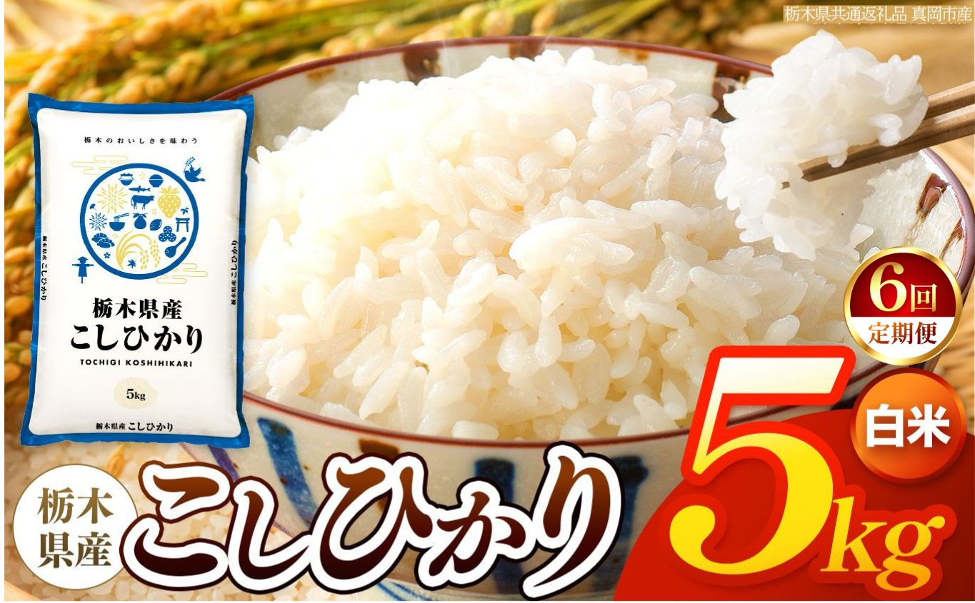 【令和8年産 新米】 【定期便6回】栃木県産 お米 こしひかり　（白米） 5kg 【2026年秋以降発送 】 |  栃木県 矢板市 【栃木県共通返礼品 真岡市産】 【定期便6回】白米 5kg | 51