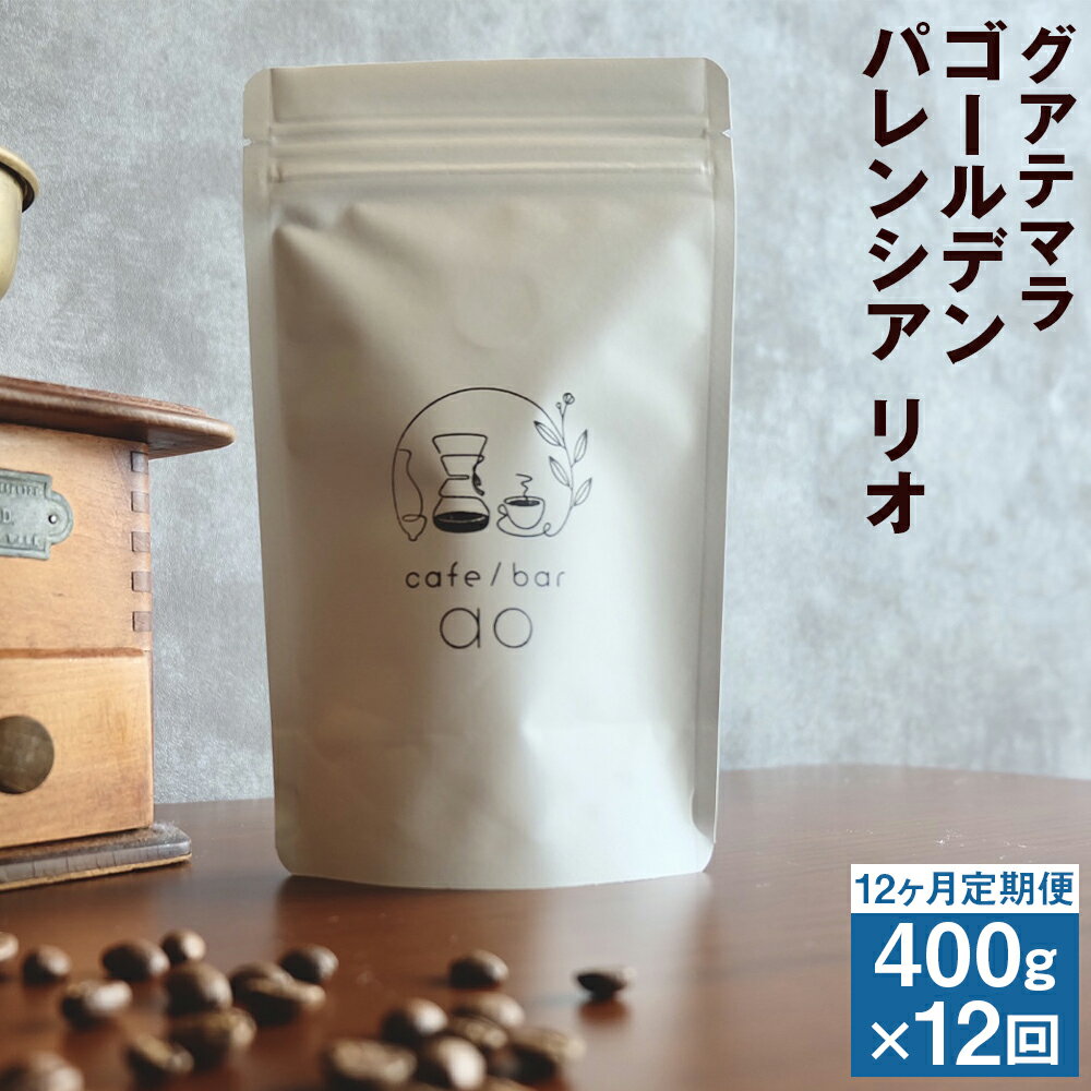 【ふるさと納税】【12か月定期便】グアテマラ ゴールデンパレンシア リオ ウォッシュド （中深煎り） 200g×2袋 豆/粉 選べる 12回 定期便 コーヒー コーヒー豆 スペシャリティコーヒー 珈琲 自家焙煎 飲料 送料無料