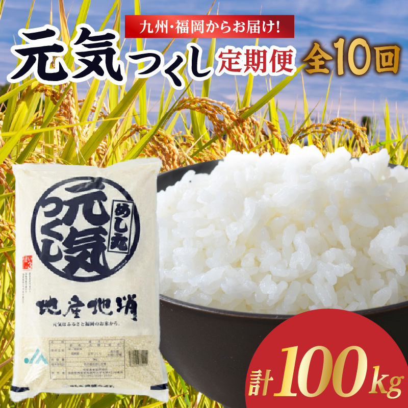 九州・福岡からお届け！ブランド米「元気つくし」定期便 10kg(5㎏×2)【全10回】  お米 米 コメ 白米 特A 直送 お弁当 おにぎり 炊きたて ツヤ 粘り もちもち 弾力 卵かけご飯 福岡県 八女市