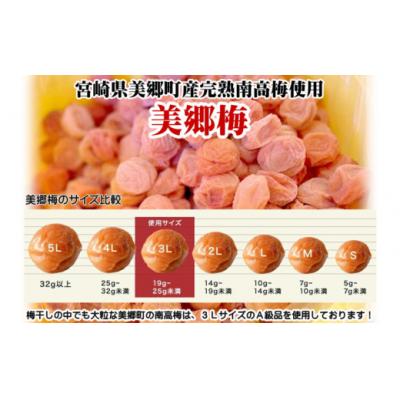 ふるさと納税 美郷町 南高梅 梅干し 美郷梅 一粒入り うま味昆布 & シソ風味 各6粒 3Lサイズ [31ab0101] |  | 03