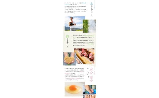 たいまのけはやたまご 120個入り /たまご 生卵 奈良県 葛城市【tegg005】