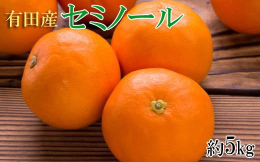 
                   和歌山有田産セミノールオレンジ約5kg(サイズおまかせ　秀品) / 果物 オレンジ フルーツ 蜜柑 みかん 【tec921】
                