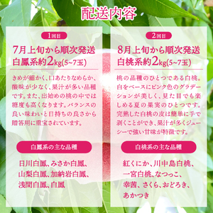 【2024年先行予約】【2回定期便】山梨朝どれ桃2kg×2回配送(白鳳系・白桃系)