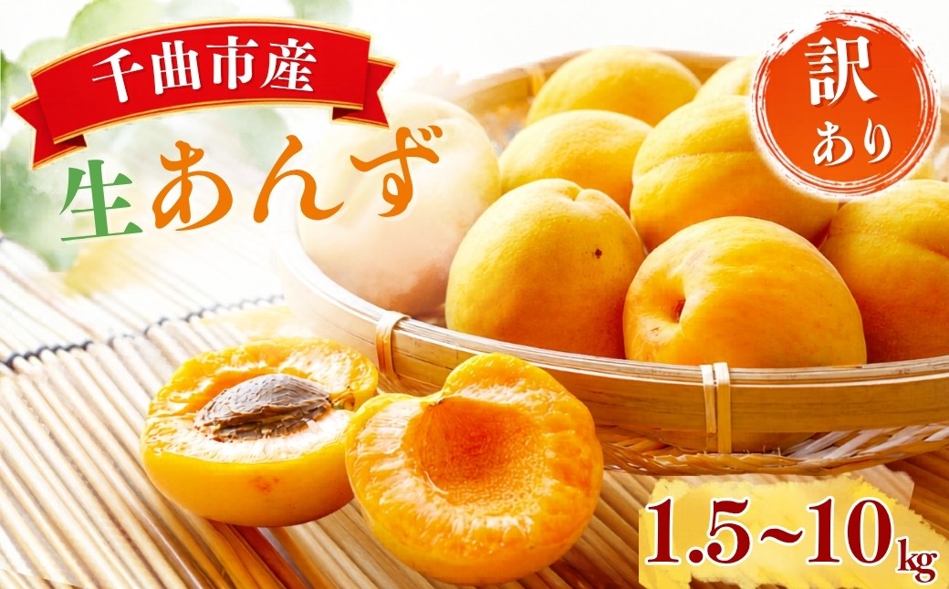 
                  【2026年先行予約】長野県千曲市産 加工用(訳あり)生あんず 1.5kg/3kg/5kg/6kg(3kg×2)/10kg(5kg×2) | 果物 フルーツ 杏子 アンズ アプリコット 千曲市 長野県 信州
                