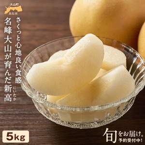 YN-03 鳥取県産和ナシ　新高梨5kg