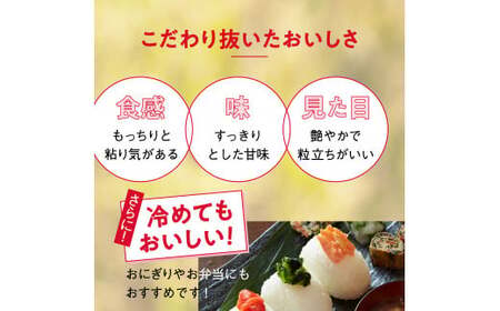 防災【パックライス】150g×6個 たかたのゆめ 防災