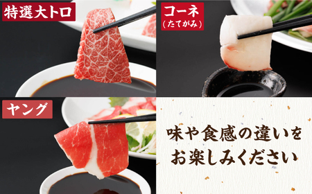 【6回定期便】馬刺し 特盛！バラエティセット 6種類 5・6人前 ＋タレ大【馬刺しの郷 民守】  馬肉 熊本県 特産品 馬刺し [ZBL077]