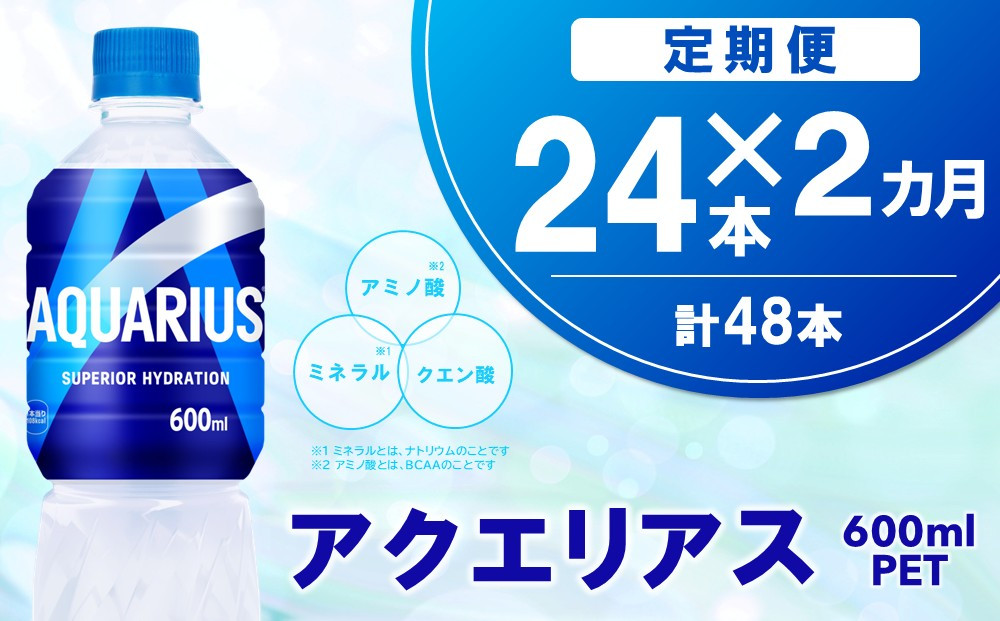 
            【2カ月定期便】アクエリアス 600mlPET×24本(1ケース)【コカコーラ 熱中症対策 スポーツ飲料 スポーツドリンク 水分補給 カロリーオフ ペットボトル 健康 スッキリ ミネラル アミノ酸 クエン酸 リフレッシュ 常備 保存 買い置き】K090449
          