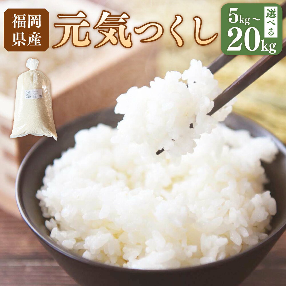 【ふるさと納税】＜選べる内容量・発送月＞ 先行予約 【令和7年産】福岡県ブランド米「元気つくし」5kg/10kg/15kg/20kg コメ 米 お米 白米 精米 ご飯 福岡県 岡垣町 送料無料 【2025年10月下旬より発送開始】