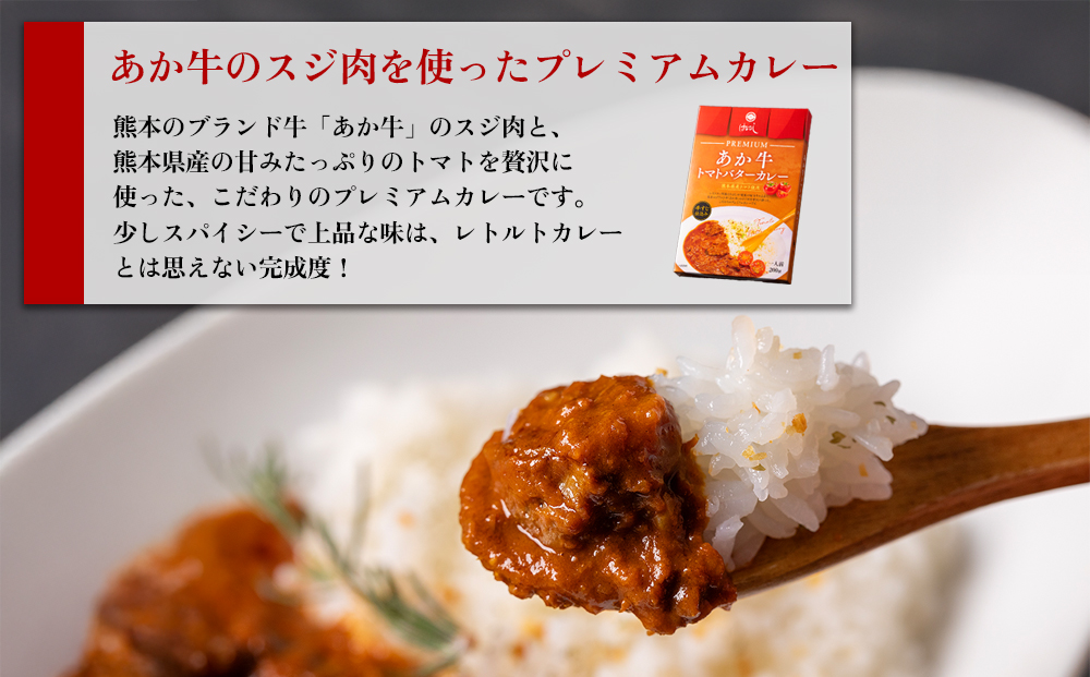 あか牛トマトバターカレー＆阿蘇とまとのチキンカレー 各2個 計4個 阿蘇はなびし食品研究所  詰め合わせ セット お取り寄せ 惣菜 おかず ギフト 贈答品 御礼 お祝い 御祝 温めるだけ 熊本県 阿蘇