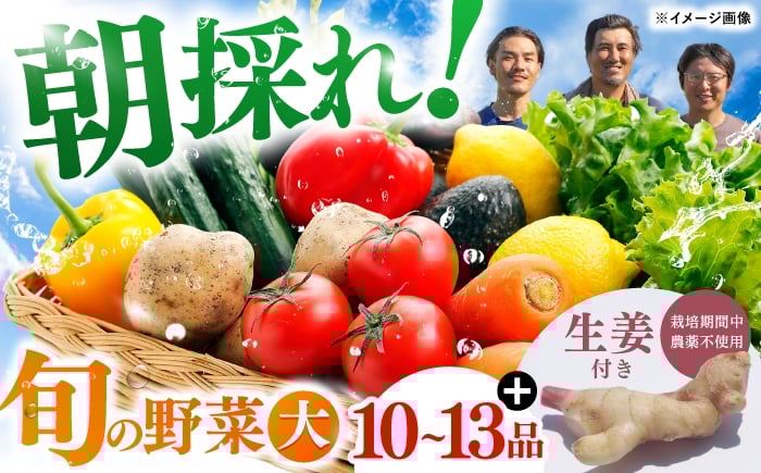
            土佐の太陽をいっぱいに浴びた旬の野菜生姜約100gのセット「大」【土佐野菜】 [ATBA004]
          