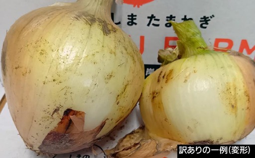 【完熟玉ねぎ予約】訳あり品　淡路島産完熟玉ねぎ 20kg　◆配送６月～翌年１月