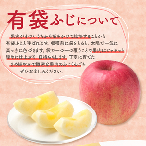 【2026年7月上旬発送】【訳あり】りんご有袋ふじ5kg(スマートフレッシュTM貯蔵又はCA貯蔵・クール便)