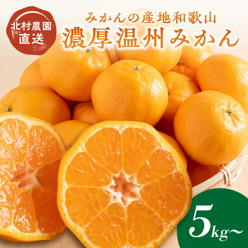 【ふるさと納税】濃厚温州みかん5kg 10kg（和歌山天田みかん）みかんの産地和歌山　北村農園直送《先行予約》 ふるさと納税 みかん 5キロ 10キロ フルーツ くだもの 果物 数量限定 期間限定 送料無料