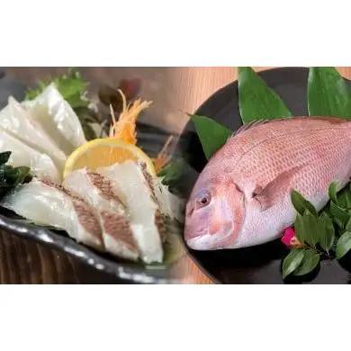 【 鯛 】 鯛 刺身 片身