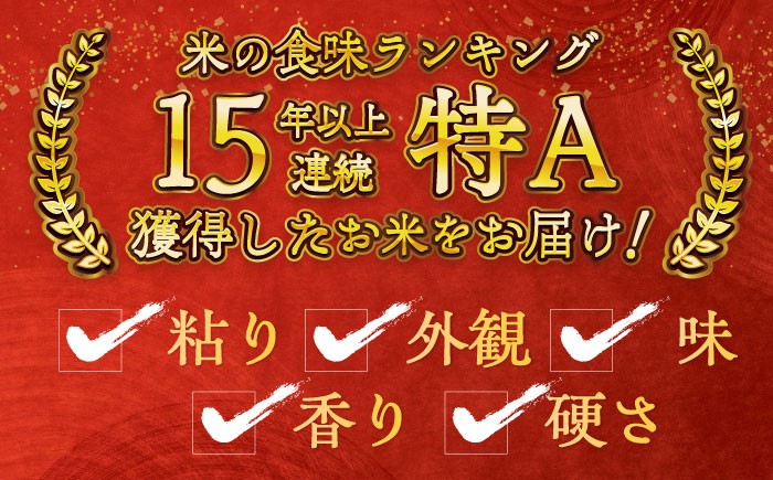 お米 米 ご飯 玄米 10㎏ お弁当 ヘルシー 健康 さがびより