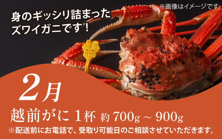 【定期便６回】福井 南越前 海のごちそう便 |  日本海 旬