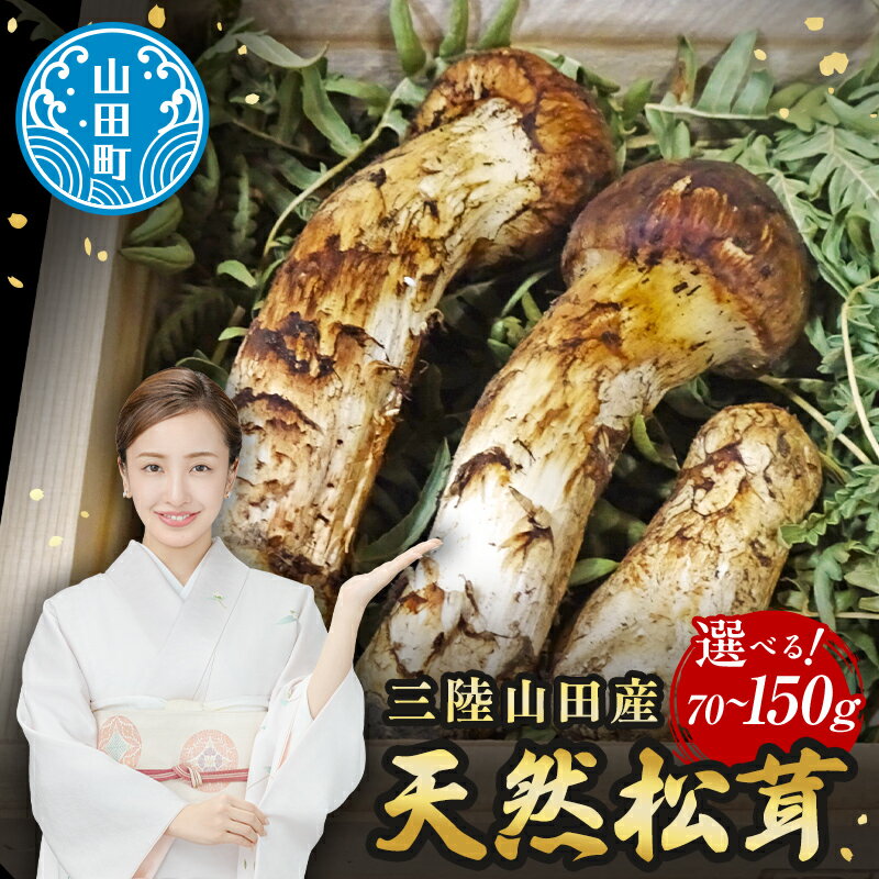 【ふるさと納税】数量限定 松茸の産地 品質の高い松茸 天然松茸 70g～150g以上 ≪2025年先行予約 9月中旬～10月下旬発送予定！≫ ふるさと納税 松茸 ふるさと納税松茸 松茸ふるさと納税松茸 国産ふるさと納税 野菜 山田産野菜 季節限定 ベルアクト YD-897var