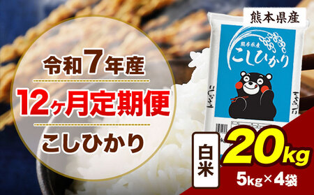 【12ヶ月定期便】令和7年産  こしひかり 20kg 精米 白米 《お申込み翌月から出荷》