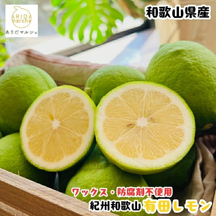【ふるさと納税】【先行予約】 国産 紀州 和歌山 有田 レモン / 檸檬 果実 柑橘 果物 フルーツ ※2026年9月下旬～2027年2月上旬に順次発送 ※北海道・沖縄・その他離島地域は発送不可 //lemon