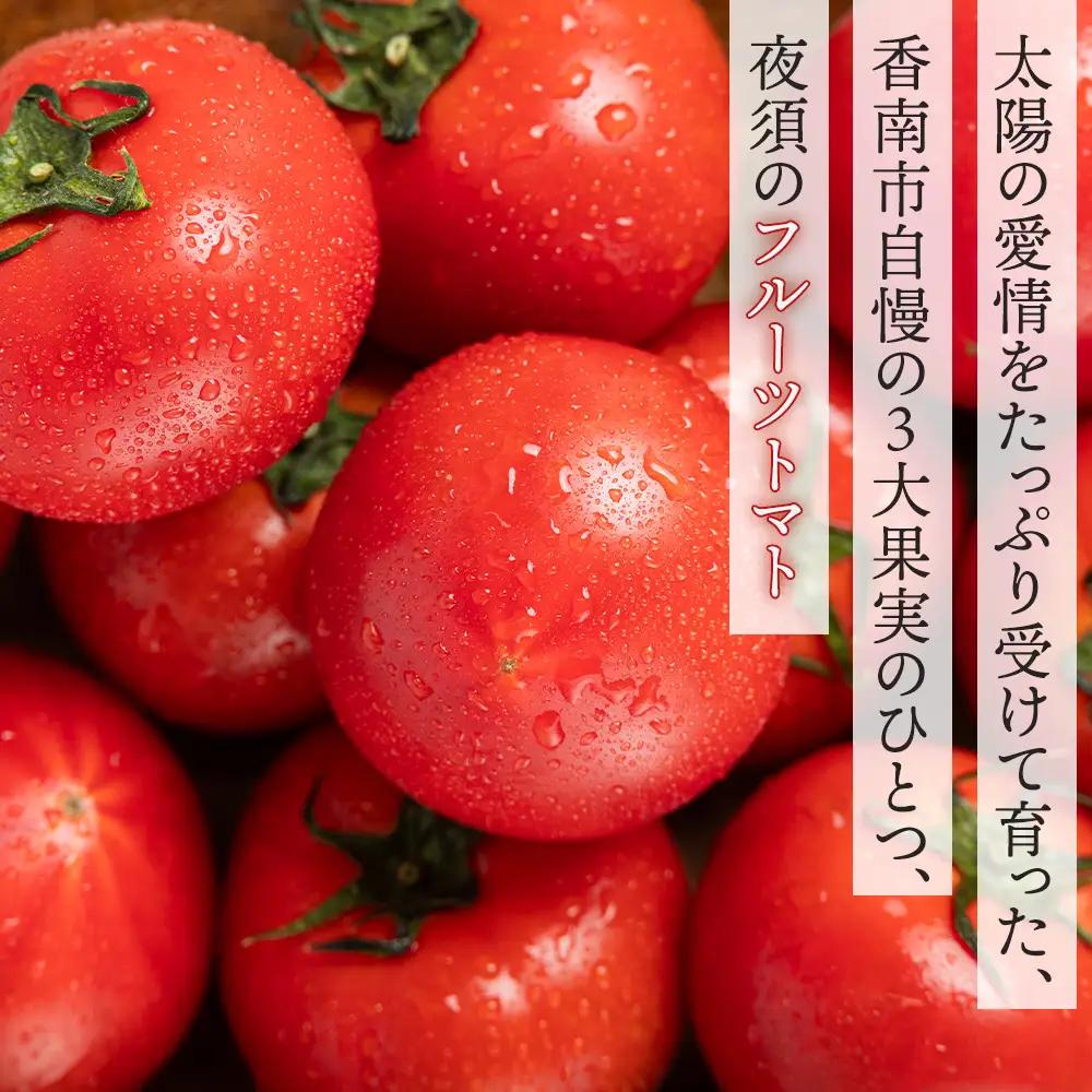 フルーツトマト 2kg ギフト箱《1月下旬-5月中旬頃出荷》トマト  yu-0072