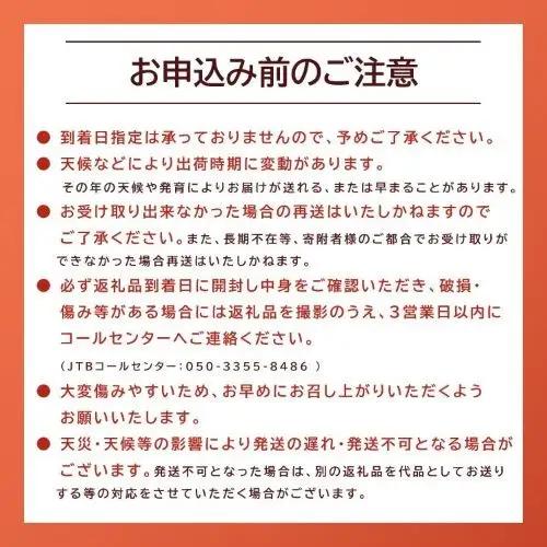【先行予約】訳あり 新甘泉 5kg 梨