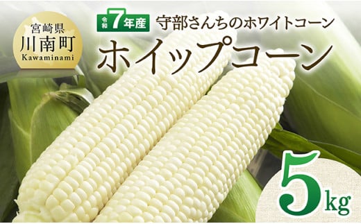 【令和7年度産】守部さんちのホワイトコーン「ホイップコーン」5kg 【 とうもろこし ホワイトコーン トウモロコシ ホイップコーン 令和7年発送 先行予約 数量限定 期間限定 】