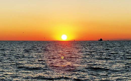 世界三大夕日へLET'S GO！釧路発見！サンセットクルーズ乗船券(ペアチケット) 飲み放題付き 釧路観光クルーズ船 シークレイン クルーズ 体験 チケット 観光 乗船券 旅行 観光船 _F4F-43