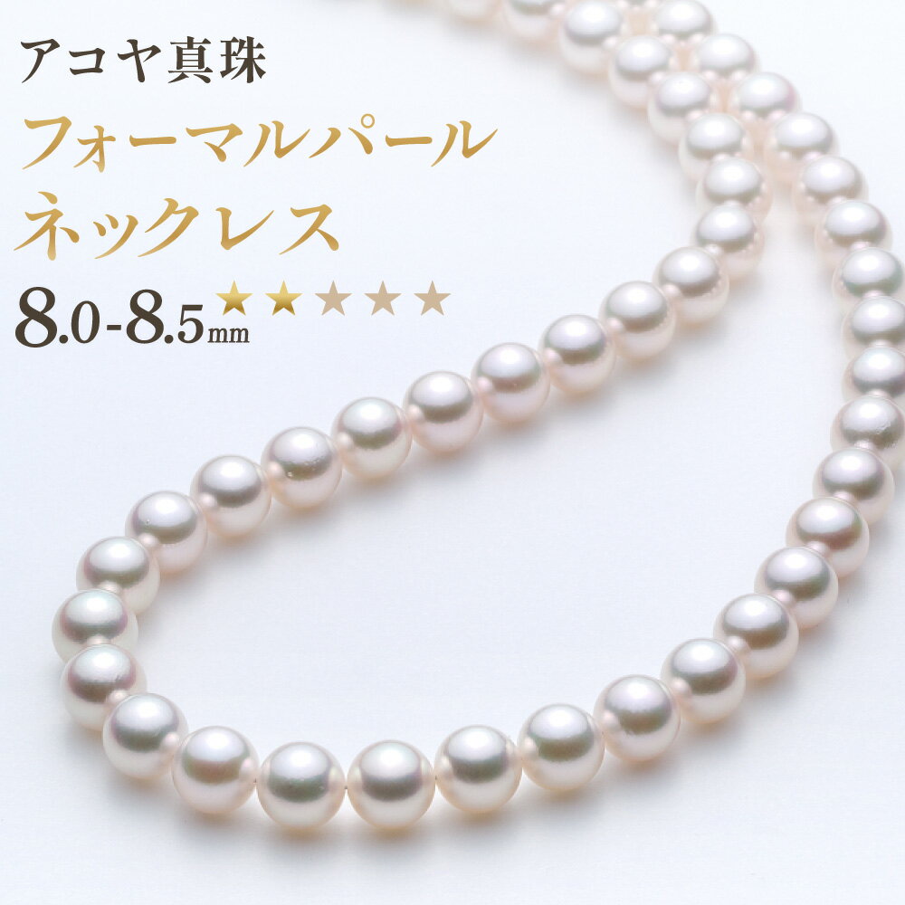 【ふるさと納税】【7営業日以内発送】《アコヤ真珠》8.0-8.5mm フォーマルパールネックレス【★★☆☆☆】 真珠 ジュエリー フォーマル アクセサリー 長崎 国産 九州 長崎県 長崎市 送料無料
