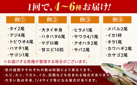 【定期便】全12回(毎月発送)【加福鮮魚】「若狭小浜港産地直送」旬の天然鮮魚お任せセット！[O-015003]