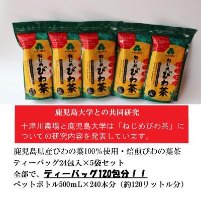 ふるさと納税 南大隅町 『ねじめびわ茶24』ティーバッグ【5袋】　ノンカフェイン