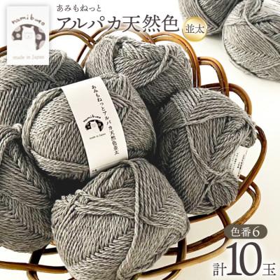 ふるさと納税 江南市 あみもねっと アルパカ天然色並太 6番色 10玉セット