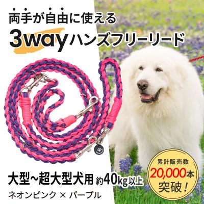 ふるさと納税 掛川市 【犬用】3WAYハンズフリーリード(大型〜超大型犬用)ネオンピンク×パープル【ゴールデンママ】