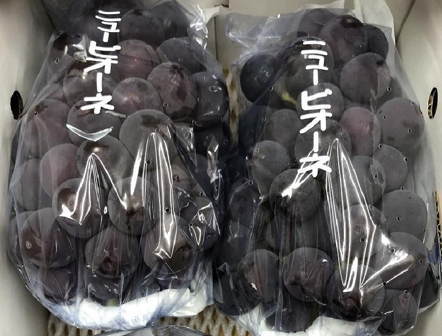 
            【7月上旬頃～発送】ピオーネ ぶどう 葡萄 約1kg (2房)
          