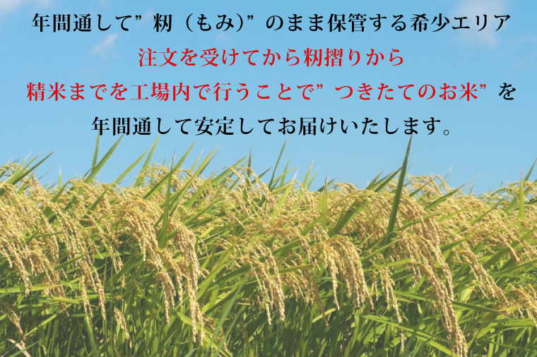 【5ヶ月定期便】【令和7年産】茨城県産コシヒカリ 宝蔵米 20kg×5回【お米 米 菊池 こしひかり つきたてのお米 食味ランキング特A評価 茨城県 水戸市】（CZ-716）