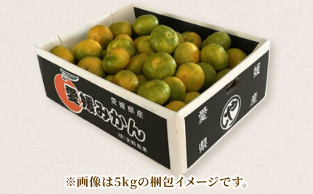 家庭用 極早生 みかん 10kg 矢野青果 温州みかん 果物 くだもの フルーツ 柑橘 蜜柑 愛媛蜜柑 愛媛みかん 愛媛ミカン mikan 産地直送 数量限定 国産 愛媛 宇和島 B024-17102