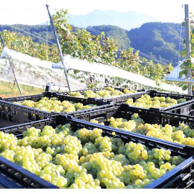 ふるさと納税 韮崎市 淡路結 シャルドネ 2023　750ml×2本セット |  | 01