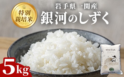 ＜令和7年産＞特別栽培 銀河のしずく 5kg  ( 米 お米 おこめ ライス コメ 精米 岩手 ブランド米 ご飯 白飯 ごはん rice kome お弁当 おにぎり 農家直送 岩手県 一関市 )