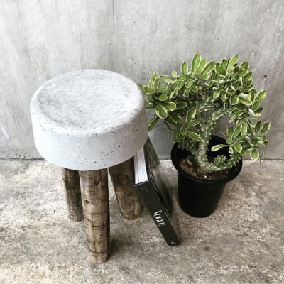 ふるさと納税 河内長野市 コンクリートスツール(3) 高さ52cm  サスティナブルでおしゃれなオブジェです。 |  | 01