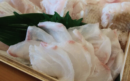 【冷凍】天然 最高級クエ 20kg 以上  クエ鍋セット 4人前(250g×4) 【2024年11月下旬から2025年2月下旬までに順次発送致します。】 / 高級 海鮮 お魚 魚  くえ鍋 クエ鍋 く