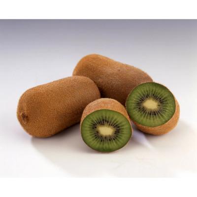 ふるさと納税 高松市 香緑キウイ 期間限定 約1.2kg【さぬき讃フルーツ】「スイート16」