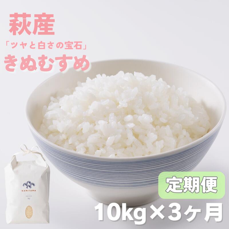 【ふるさと納税】定期便 3か月 きぬむすめ 令和7年 10kg 米 コメ こめ 萩産 KAMITAMA