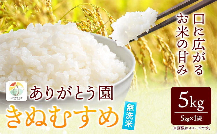 
145. 令和6年産 米 岡山県産 きぬむすめ 無洗米 5kg ありがとう園《30日以内に出荷予定(土日祝除く)》 岡山県 矢掛町 無洗米 米 コメ 一等米
