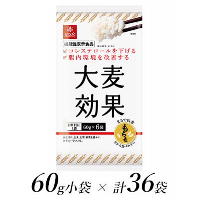 ふるさと納税 南アルプス市 はくばくの大麦効果　60g×36個　【機能性表示食品】
