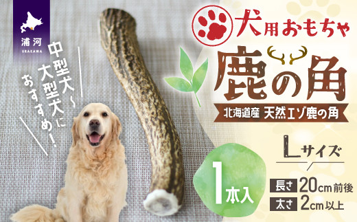 
犬用「鹿の角」Ｌサイズ×1本[53-1349]
