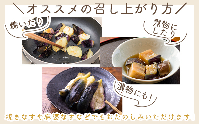 【2025年10月中旬以降発送】長なす 3kg 家庭用 - 国産 茄子 なすび 野菜 青果 肉厚 煮物 漬物 焼きなす 麻婆 訳あり ご家庭用 不揃い 傷 やすらぎ市 高知県 香南市 常温 yr-00