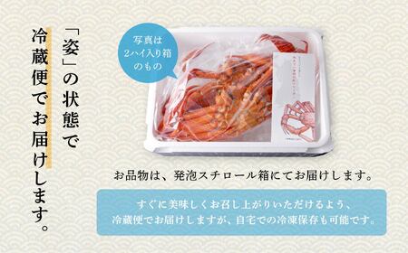 紅ズワイガニ 冷蔵 4匹 2.8kg【安田水産】