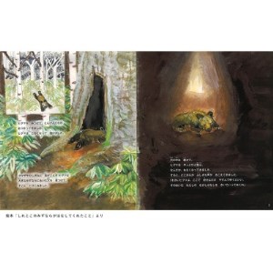 知床財団オリジナル絵本セット【1371039】